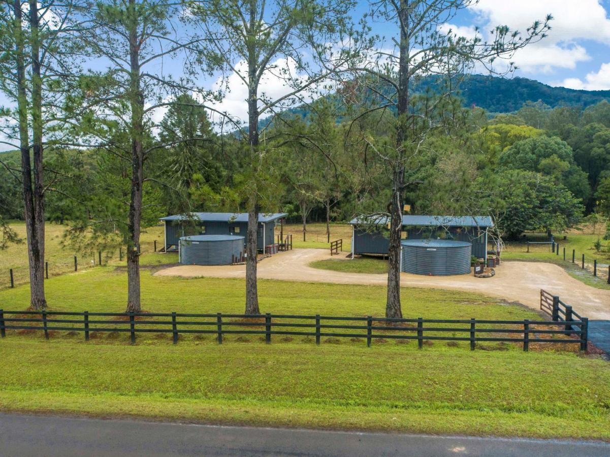 Contained In Nimbin Accommodation מראה חיצוני תמונה